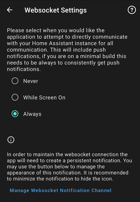Screenshot of websocket settings