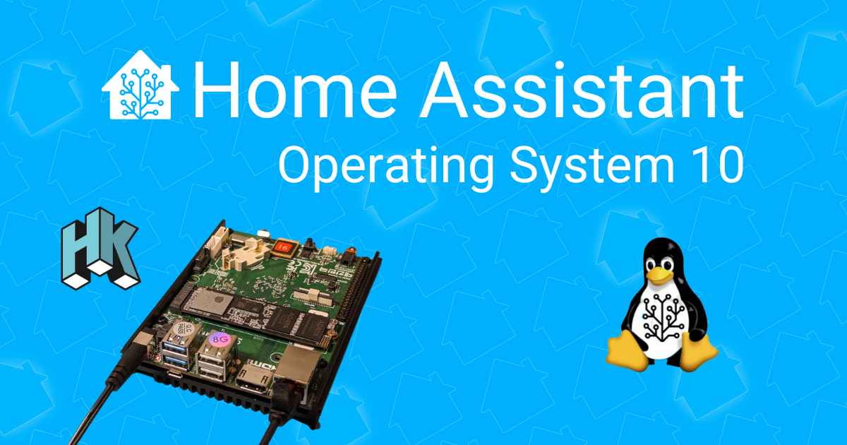 Home Assistant OS Release 10 Logo