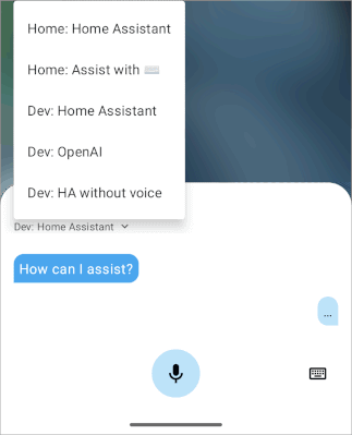 Screenshot of Assist picking a voice assistant